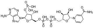 NADPH free acid 53-57-6